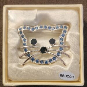 Charming Silver and Blue Cat Brooch